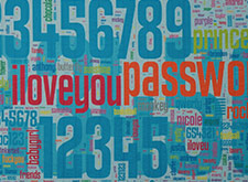 Become a Password Pro (Teaching Kit)